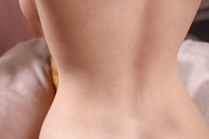 marielove Masturbator Torso Sofia-Renee
