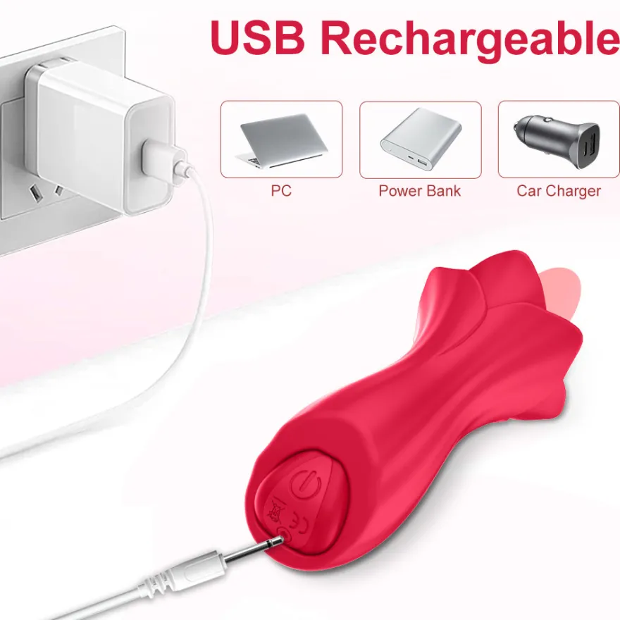 Vibrator Stimulation Klitoris Vagina GM-313