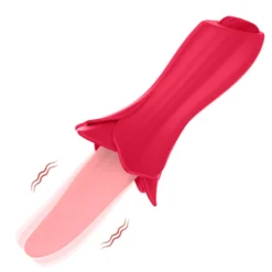 Vibrator Stimulation Klitoris Vagina GM-313