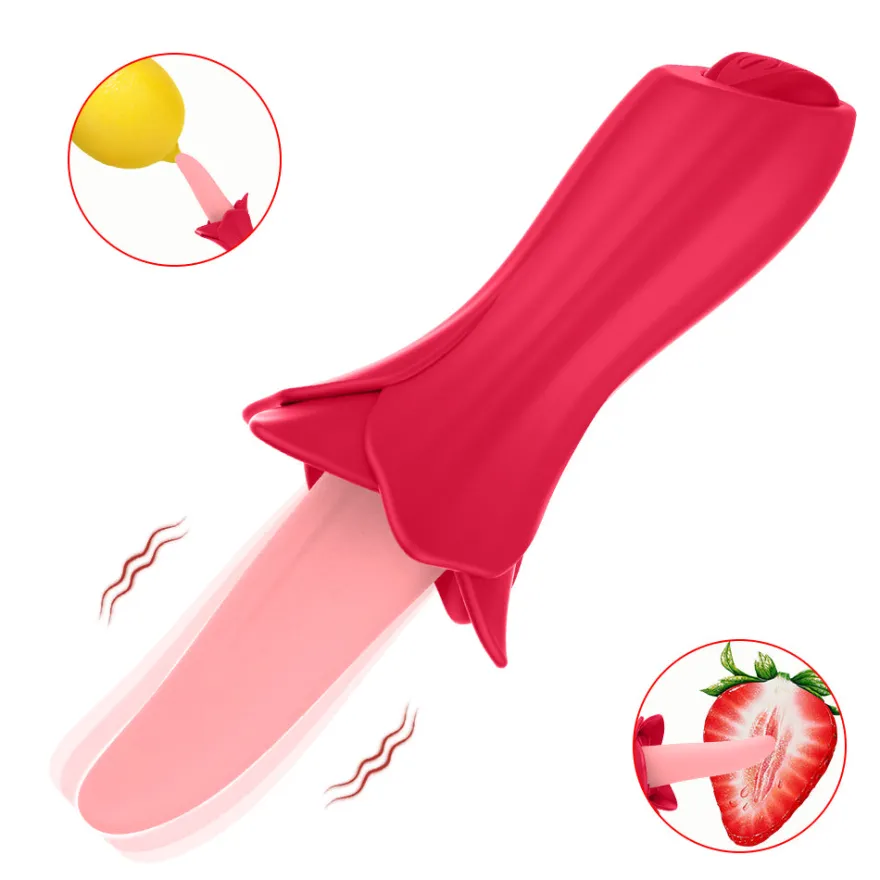 Vibrator Stimulation Klitoris Vagina GM-313