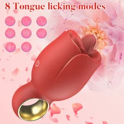Vibrator Stimulation Klitoris Vagina GM-450