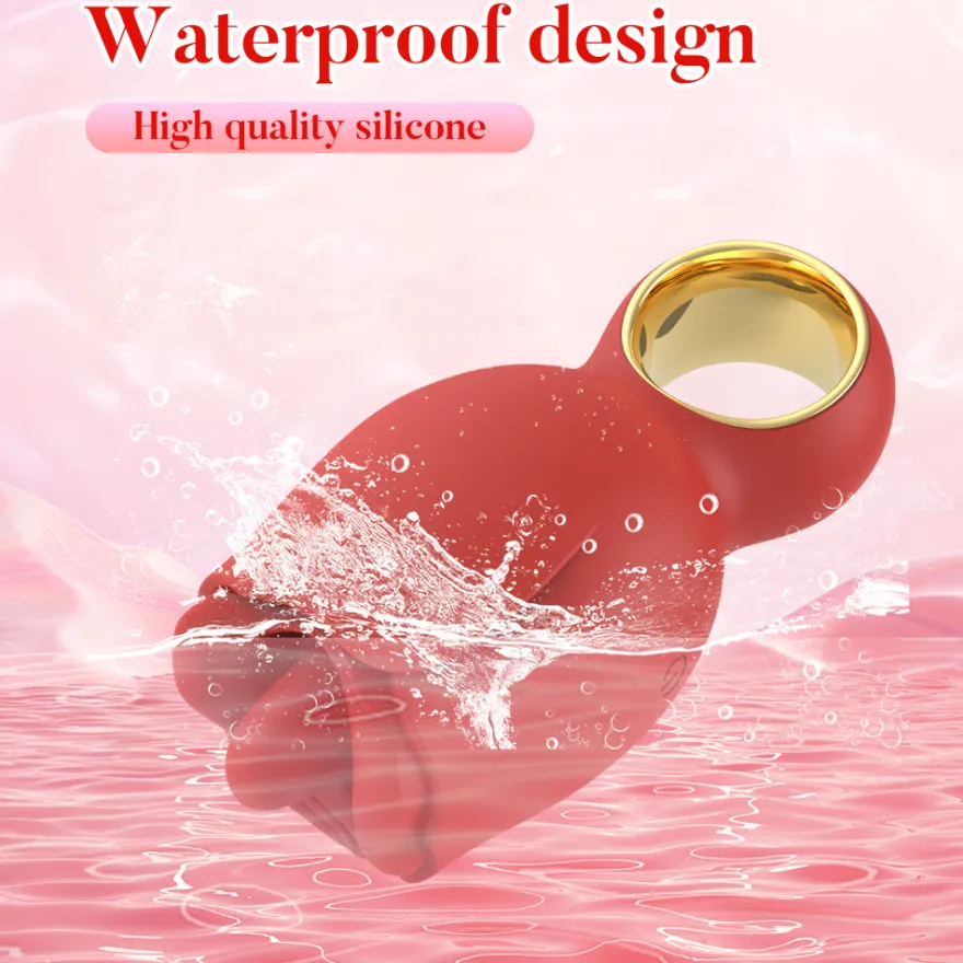 Vibrator Stimulation Klitoris Vagina GM-450