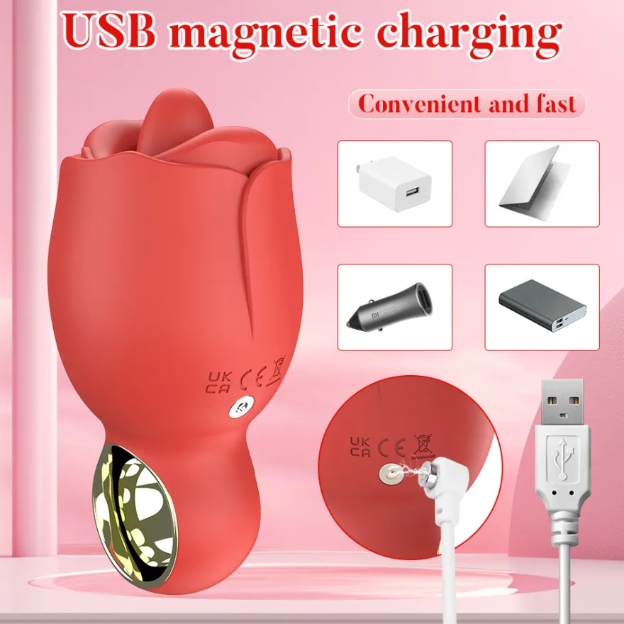 Vibrator Stimulation Klitoris Vagina GM-450
