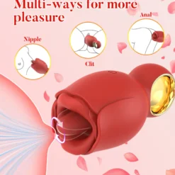 Vibrator Stimulation Klitoris Vagina GM-450