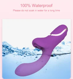 Vibrator Stimulation Klitoris Vagina GM-XCN-081