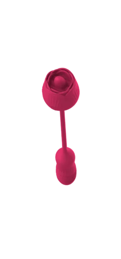 Vibrator Stimulation Klitoris Wasserdicht USB GM-345 Pink