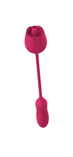Vibrator Stimulation Klitoris Wasserdicht USB GM-345 Pink